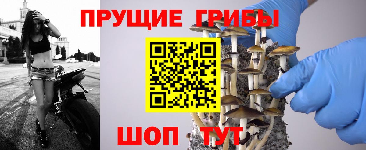 Городец  закладка  Вход с VPN  Галлюциногенные грибы Magic Shrooms 